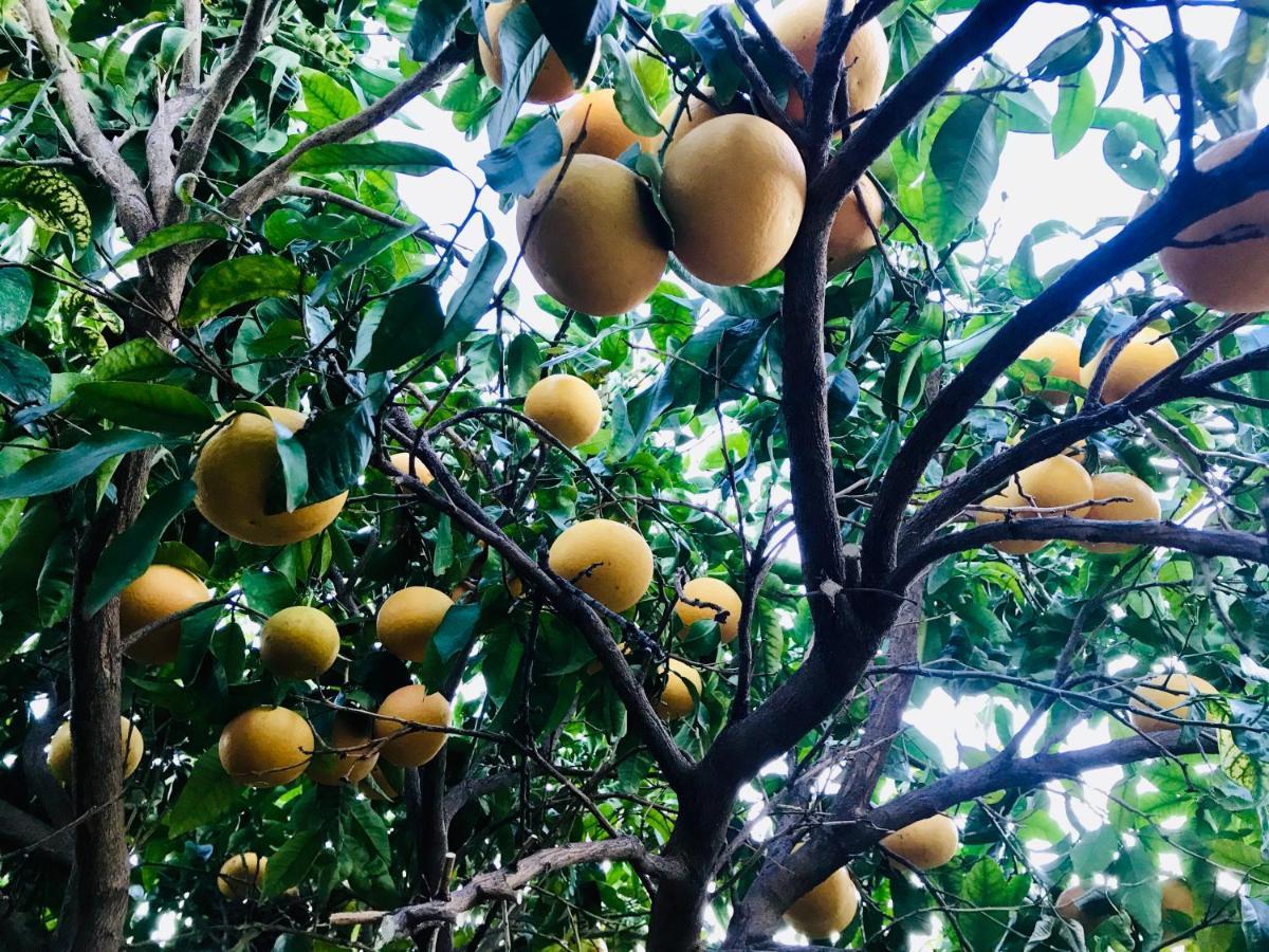 Casa Amigos Sorvilan - La Almendra Eksteriør billede
