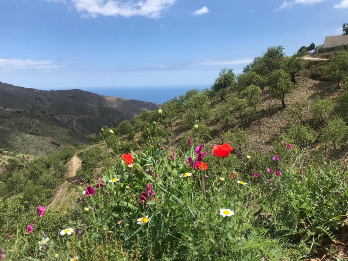 Casa Amigos Sorvilan - La Almendra Eksteriør billede