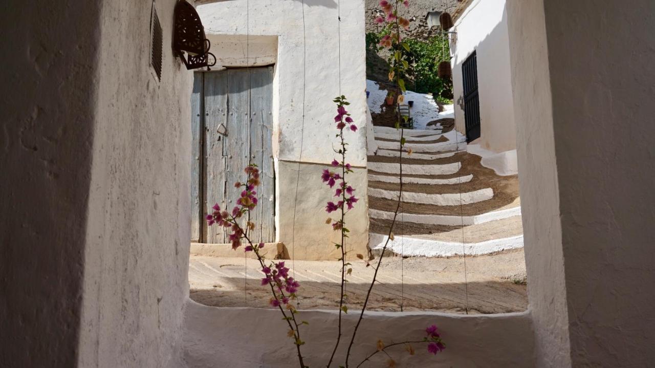 Casa Amigos Sorvilan - La Almendra Eksteriør billede