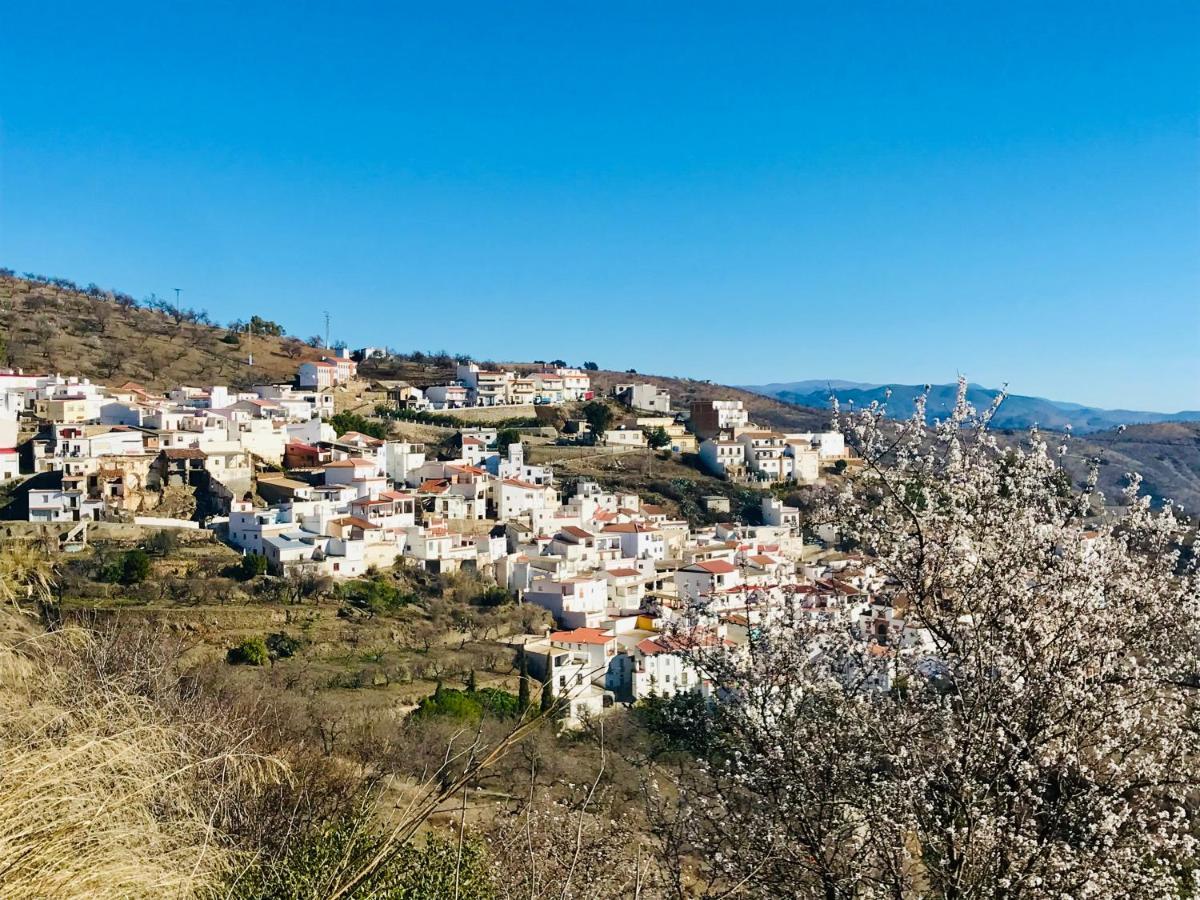 Casa Amigos Sorvilan - La Almendra Eksteriør billede