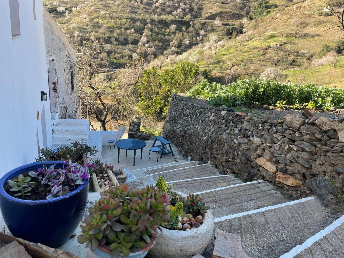 Casa Amigos Sorvilan - La Almendra Eksteriør billede