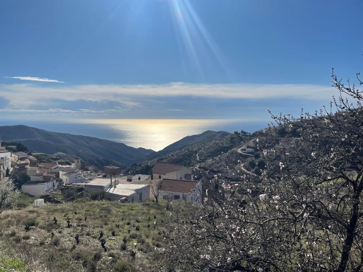 Casa Amigos Sorvilan - La Almendra Eksteriør billede