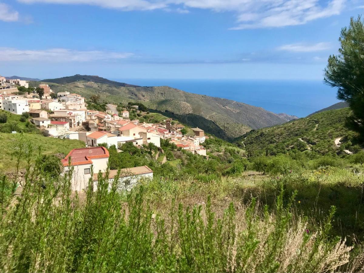 Casa Amigos Sorvilan - La Almendra Eksteriør billede